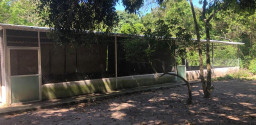 Sítio em Bacaxá próximo a lagoa de Jacarepiá