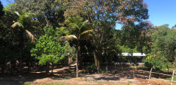 Sítio em Bacaxá próximo a lagoa de Jacarepiá
