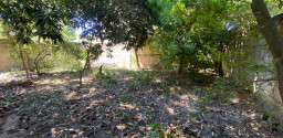 Oportunidade de Terreno no Porto da Roça