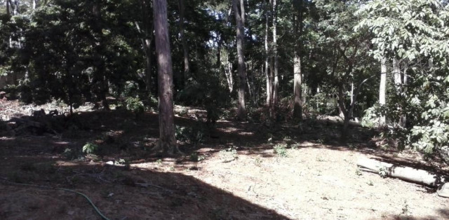 Sítio Com 7.000m² Em Bacaxá - Foto 12