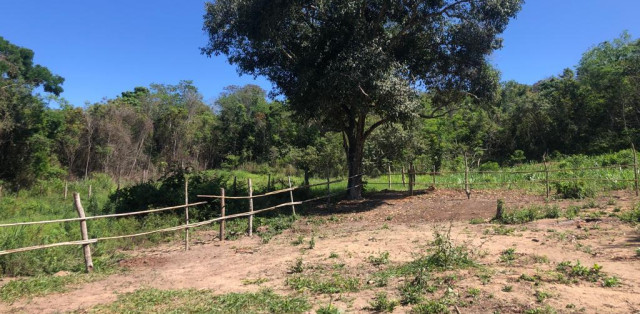 Sítio Em Bacaxá Próximo A Lagoa De Jacarepiá - Foto 1