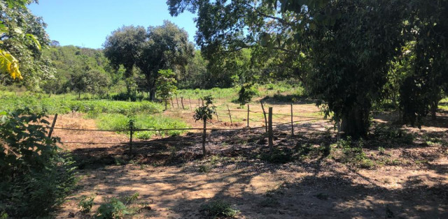 Sítio Em Bacaxá Próximo A Lagoa De Jacarepiá - Foto 4