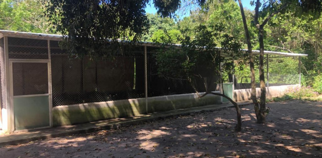 Sítio Em Bacaxá Próximo A Lagoa De Jacarepiá - Foto 3