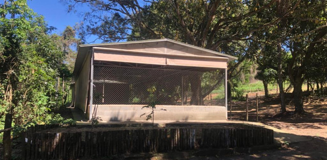 Sítio Em Bacaxá Próximo A Lagoa De Jacarepiá - Foto 2
