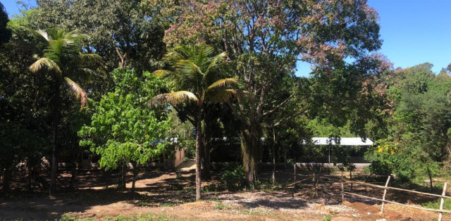 Sítio Em Bacaxá Próximo A Lagoa De Jacarepiá - Foto 13