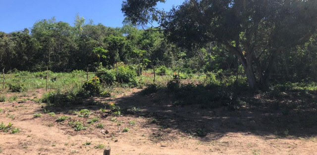 Sítio Em Bacaxá Próximo A Lagoa De Jacarepiá - Foto 12