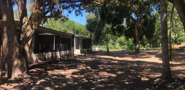 Sítio Em Bacaxá Próximo A Lagoa De Jacarepiá - Foto 10