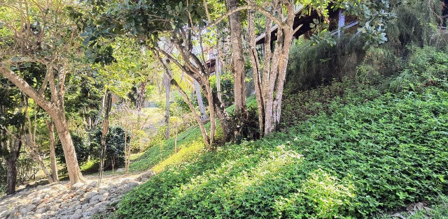 ótima Casa Mobiliada Em Condomínio, No Morro Da Cruz - Foto 52