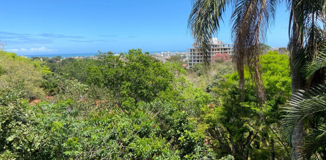 ótima Casa Mobiliada Em Condomínio, No Morro Da Cruz - Foto 32