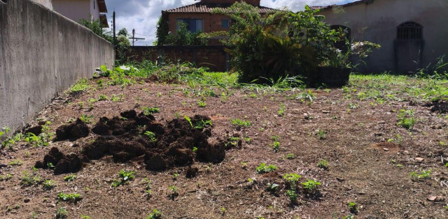 Terreno Murado No Condado De Bacaxá - Foto 5